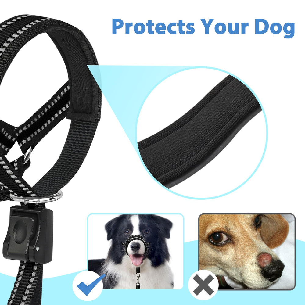 BARKLESS talla M con medidas de hocico y cuello dentro del rango recomendado