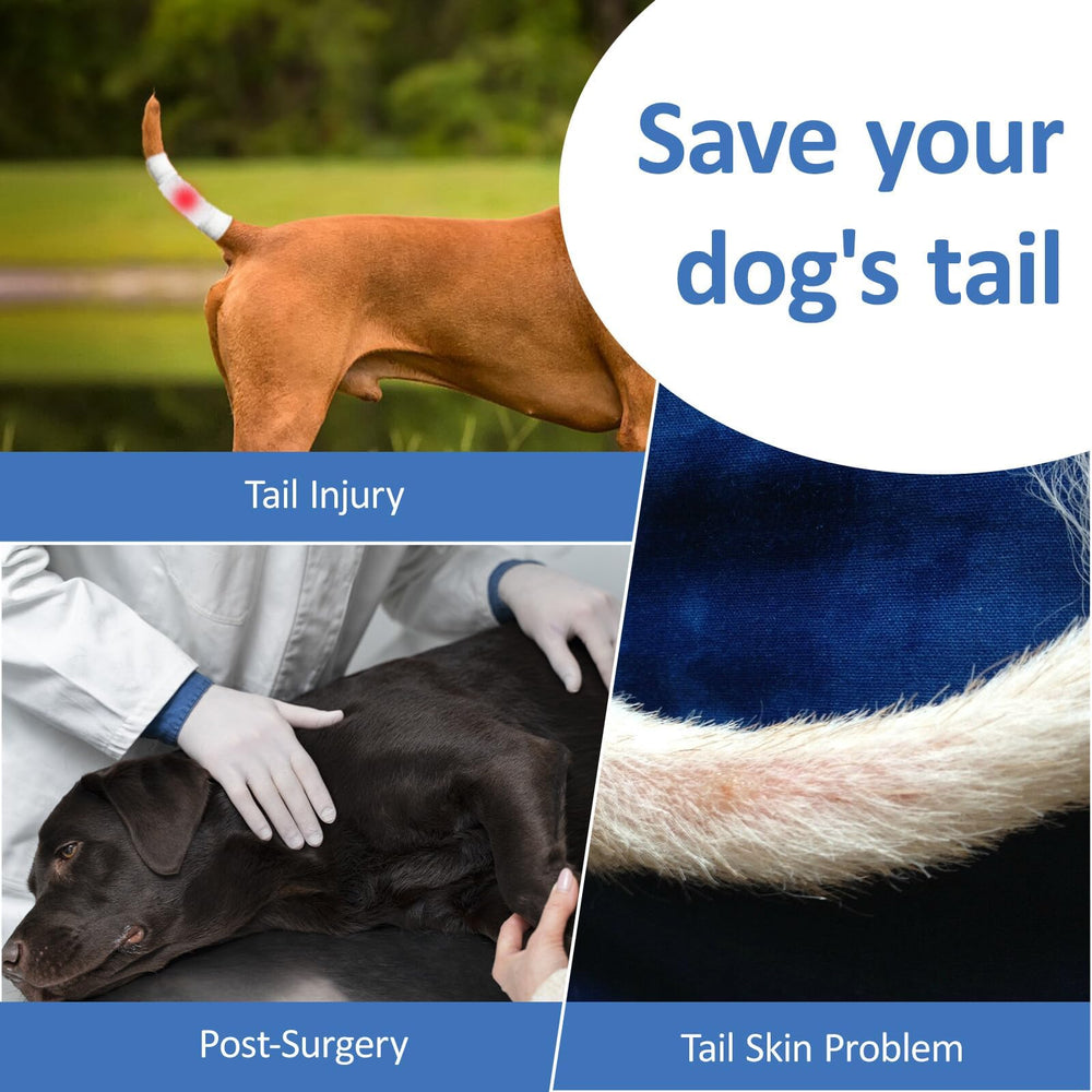 BARKLESS travel-ready tail guard fits in a backpack for on-the-go care.