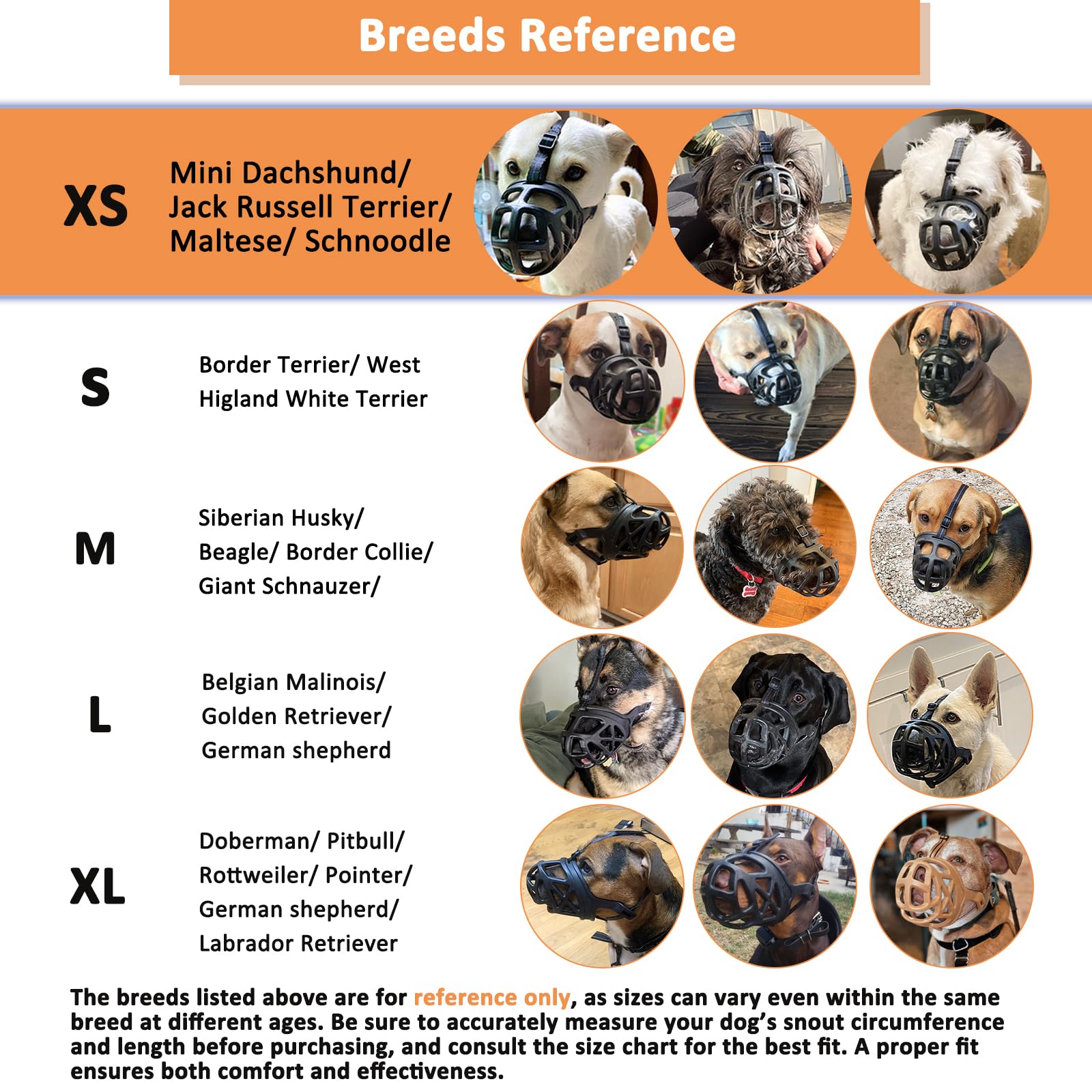 BARKLESS XS muzzle in desensitization training setup for gradual acclimation.