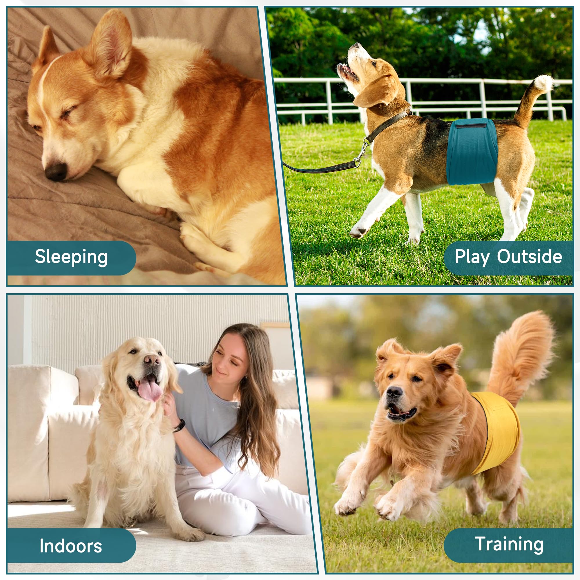Barklincharm 4 pack display shows size variety and value