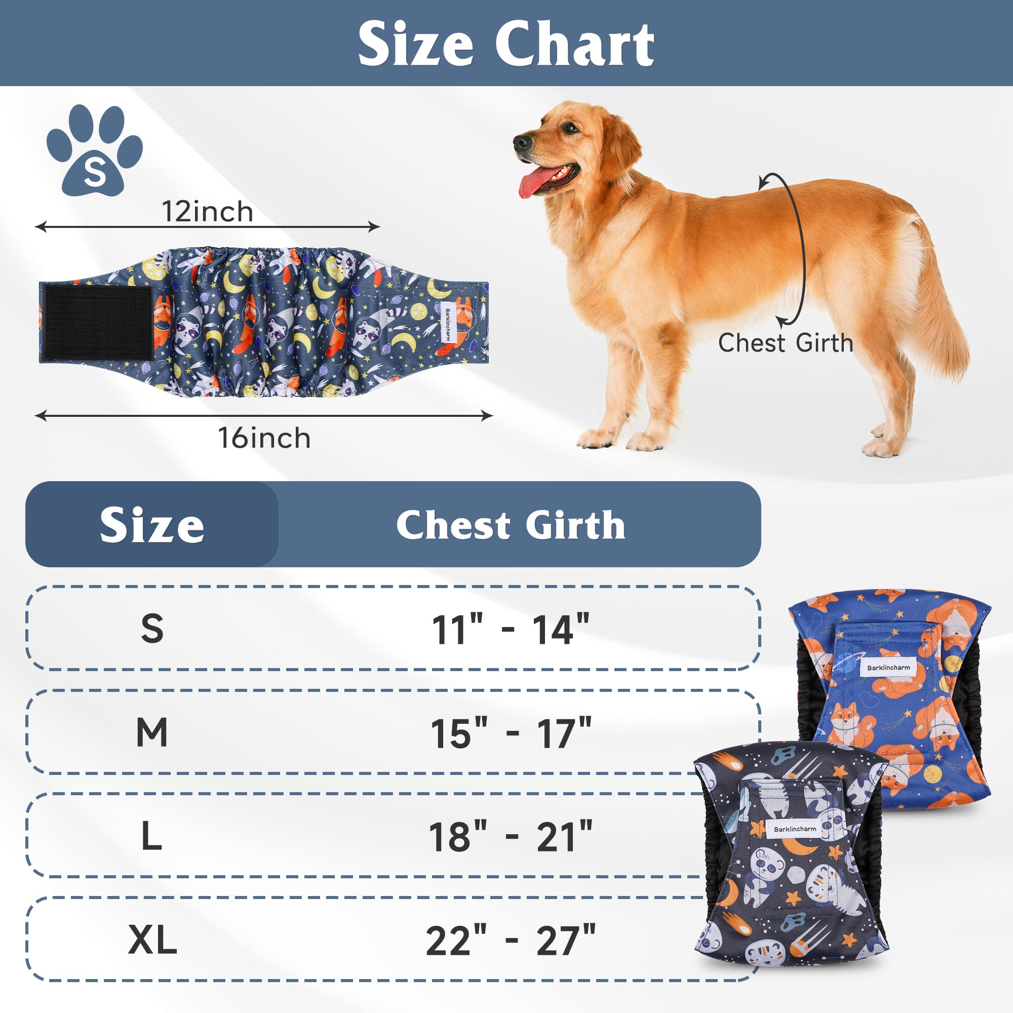 Barklincharm male dog diapers absorbent layer demonstrating leak protection during daily activities