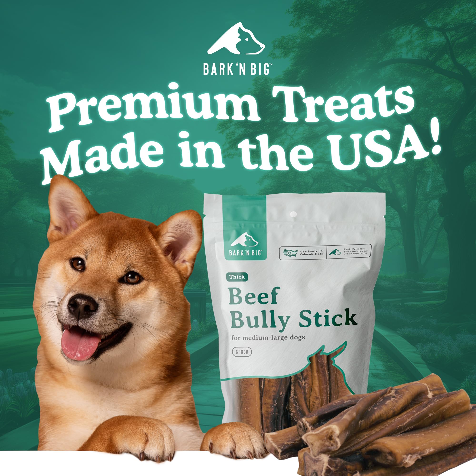 BARK'N BIG 12in thick bully stick—extended chew session for larger chewers.