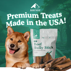 BARK'N BIG 12in thick bully stick—extended chew session for larger chewers.