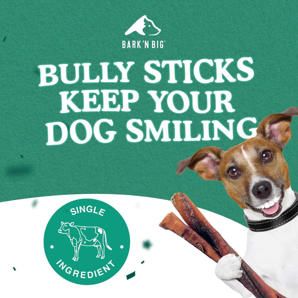 BARK'N BIG 6-inch thick bully stick packaging with weight label for portion control