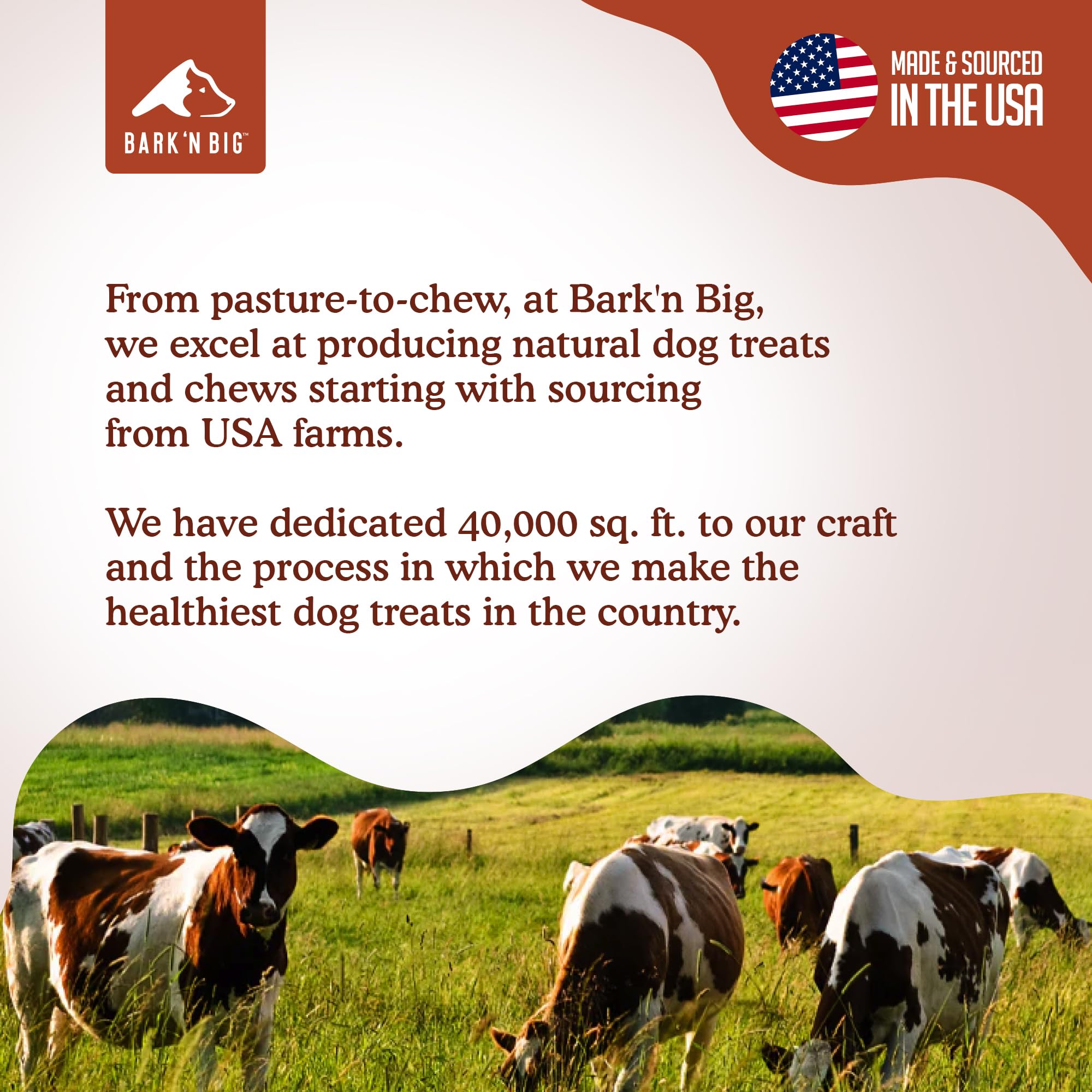 BARK'N BIG bison lung treats digestive-friendly snack for dogs with sensitive stomachs.