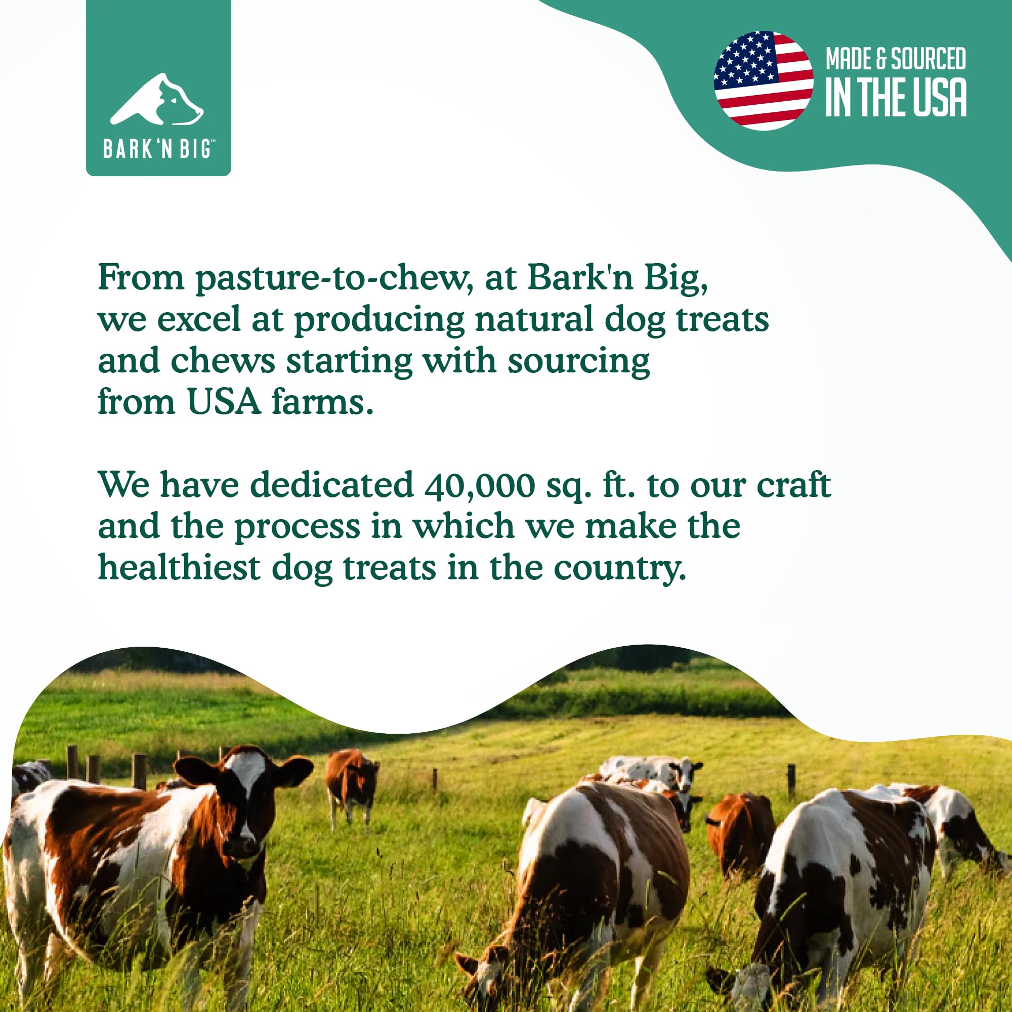 BARK'N BIG made-in-USA bully sticks for safe, natural beef chews.