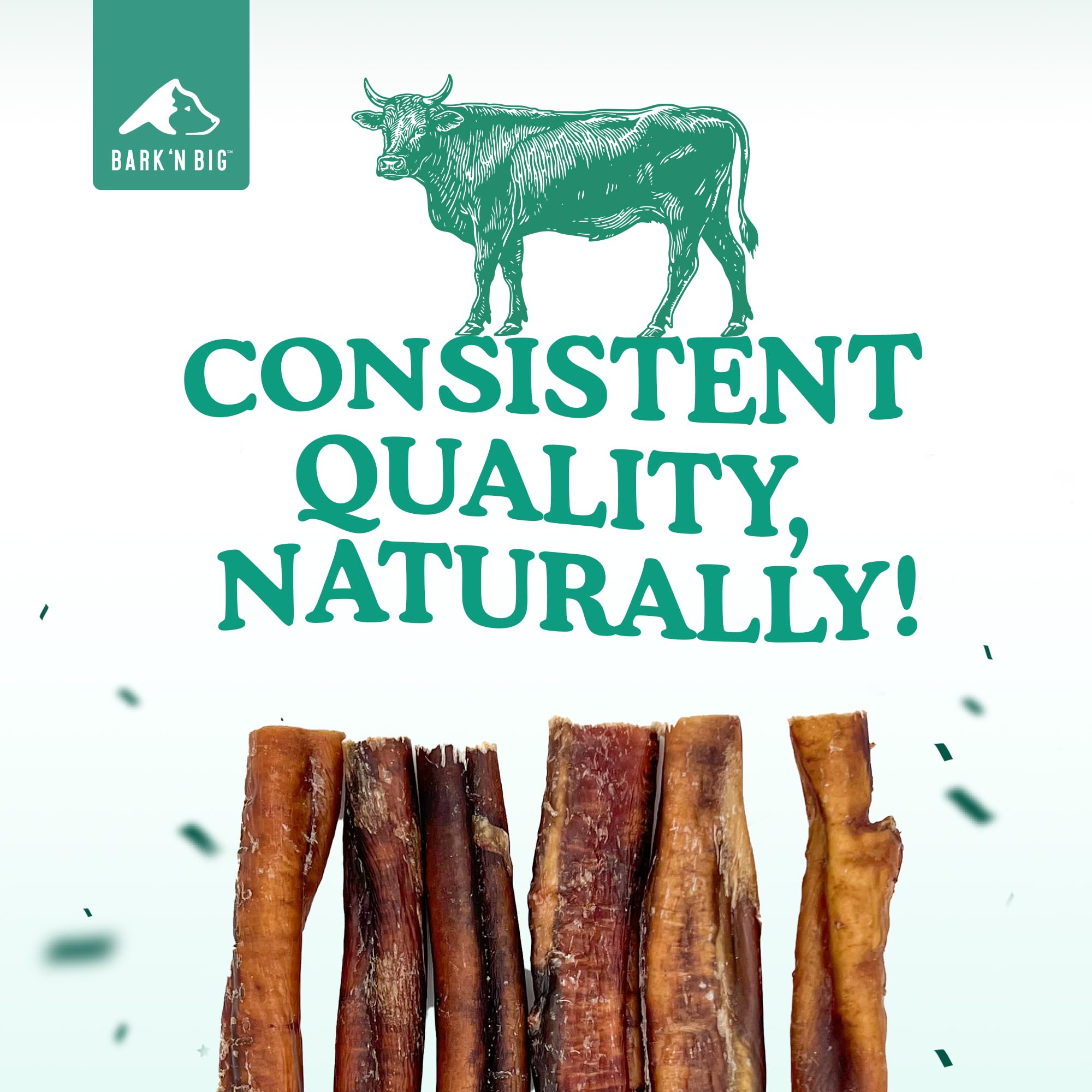 BARK'N BIG single-ingredient beef chew—natural protein snack for dogs.
