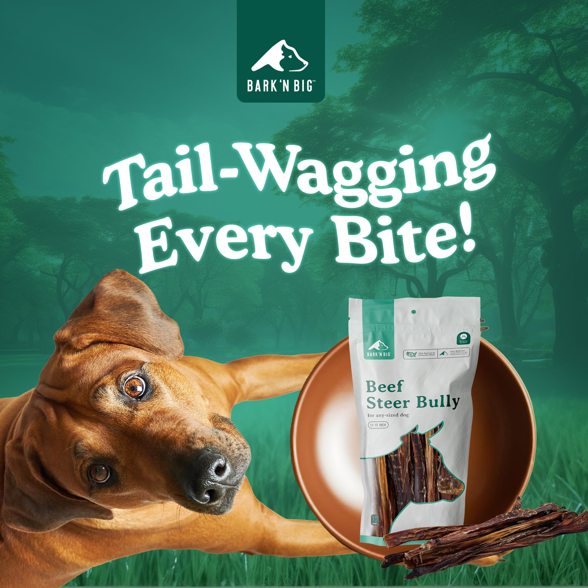 BARK'N BIG steer sticks dog chewing action showing durable, long-lasting chew.