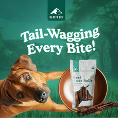 BARK'N BIG steer sticks dog chewing action showing durable, long-lasting chew.