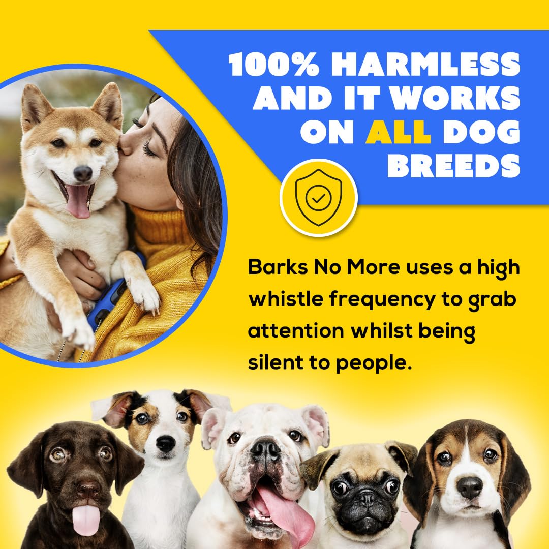 Barks No More dog training example in a living room setting
