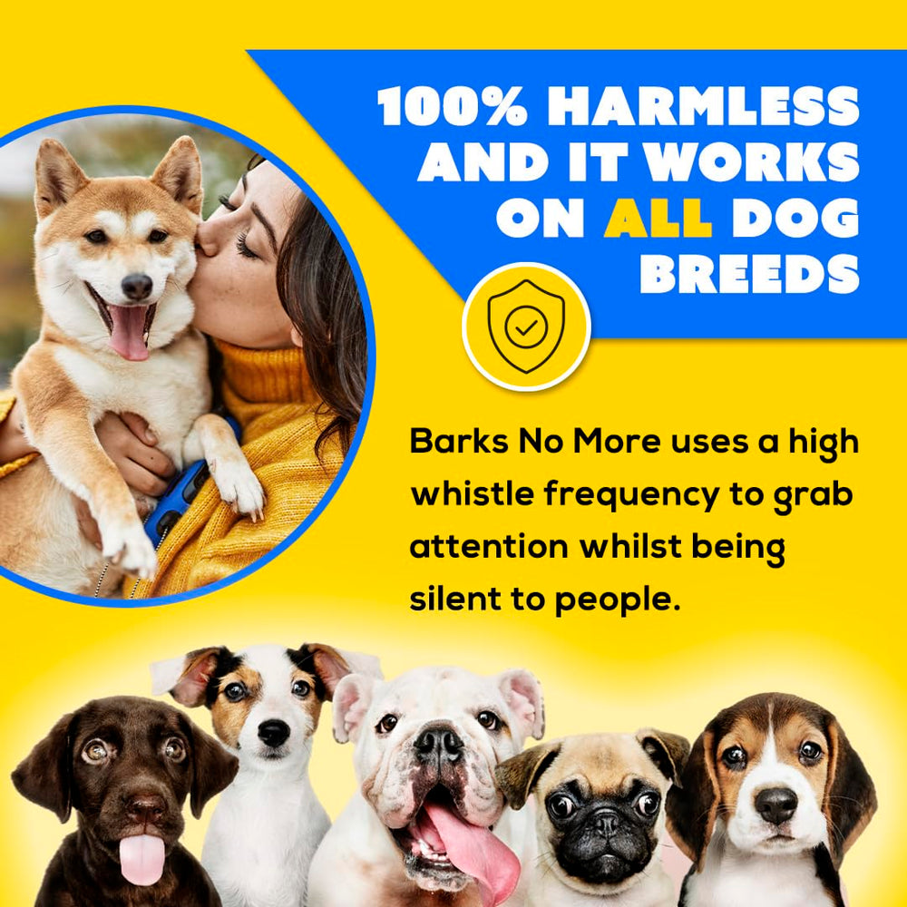Barks No More dog training example in a living room setting