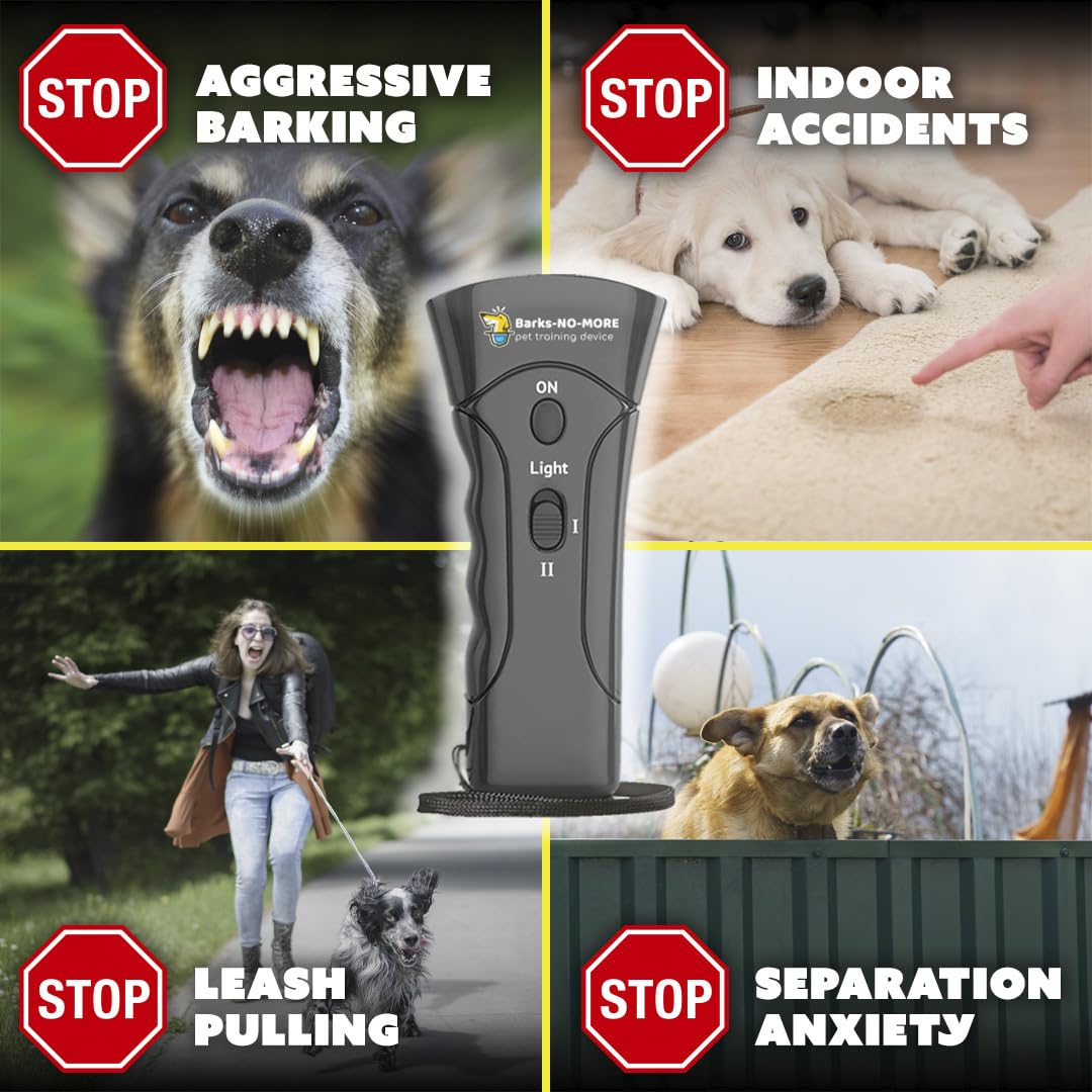 Barks No More compact deterrent device in action during quiet training