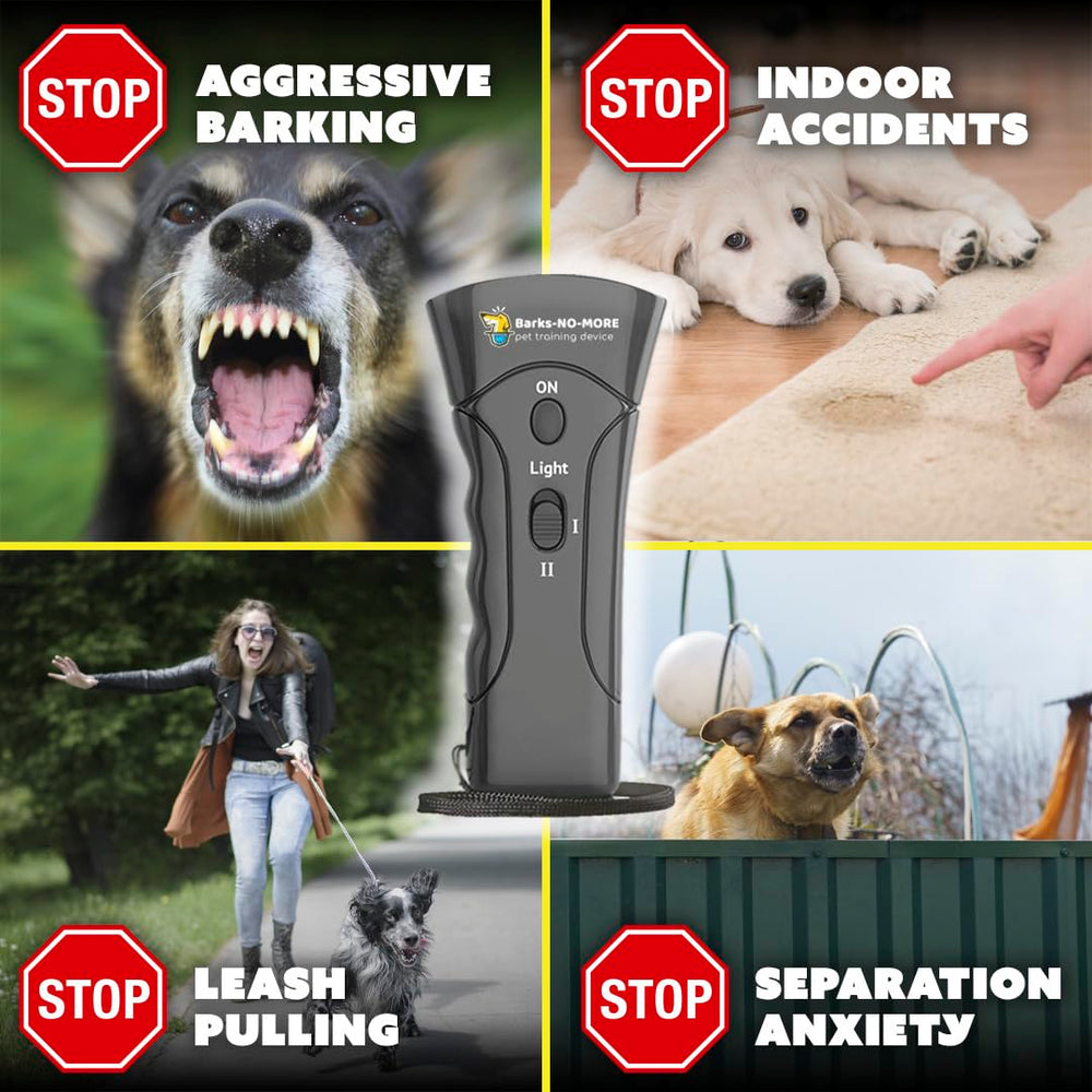 Barks No More compact deterrent device in action during quiet training
