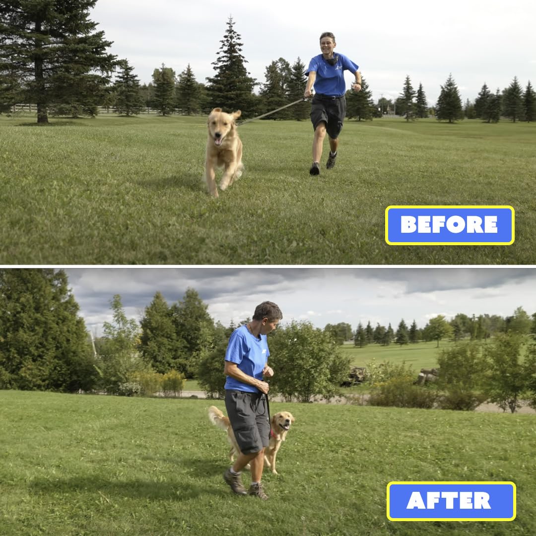 Barks No More safe humane design highlighting nonpainful correction