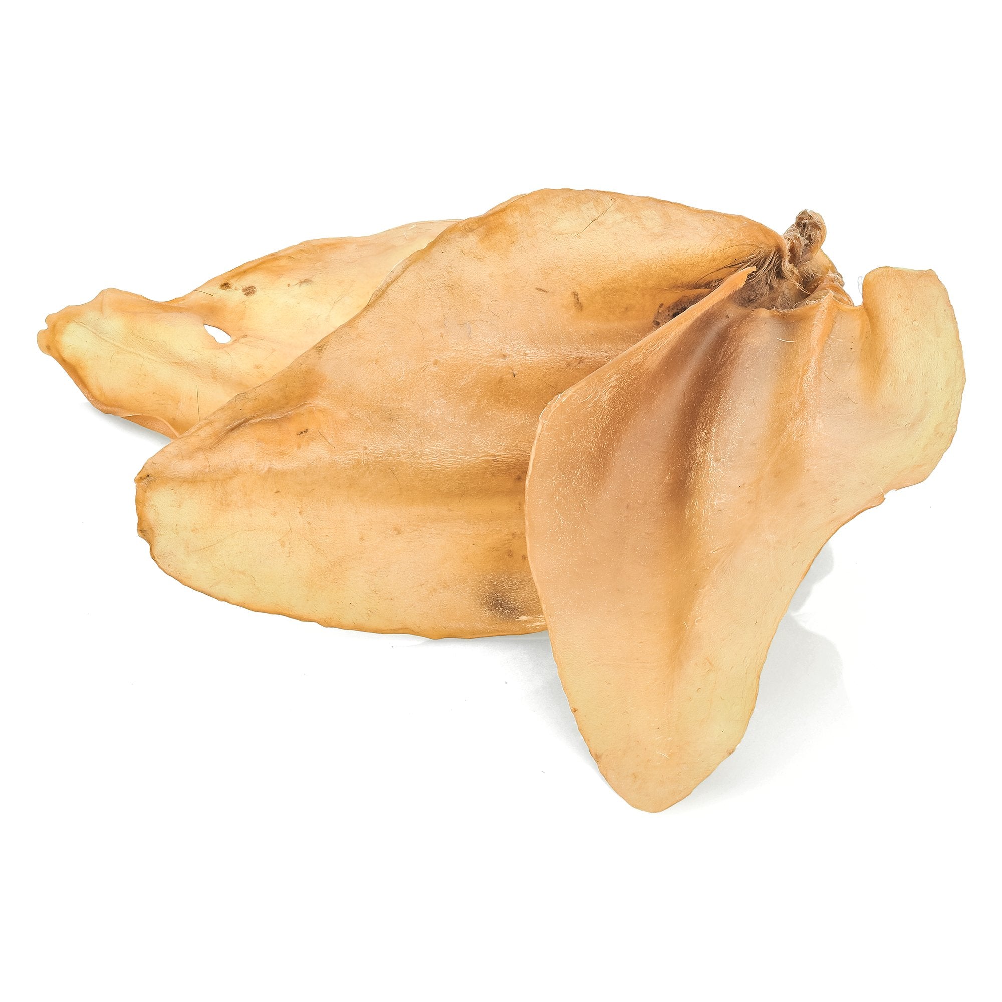 Barkworthies Whole Cow Ears texture close-up communicates crunchy, long-lasting chew experience.