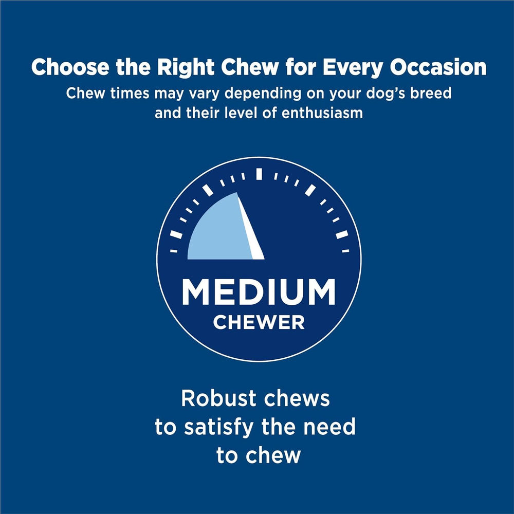 Barkworthies dental-benefit scene illustrates teeth-cleaning potential during chew time.