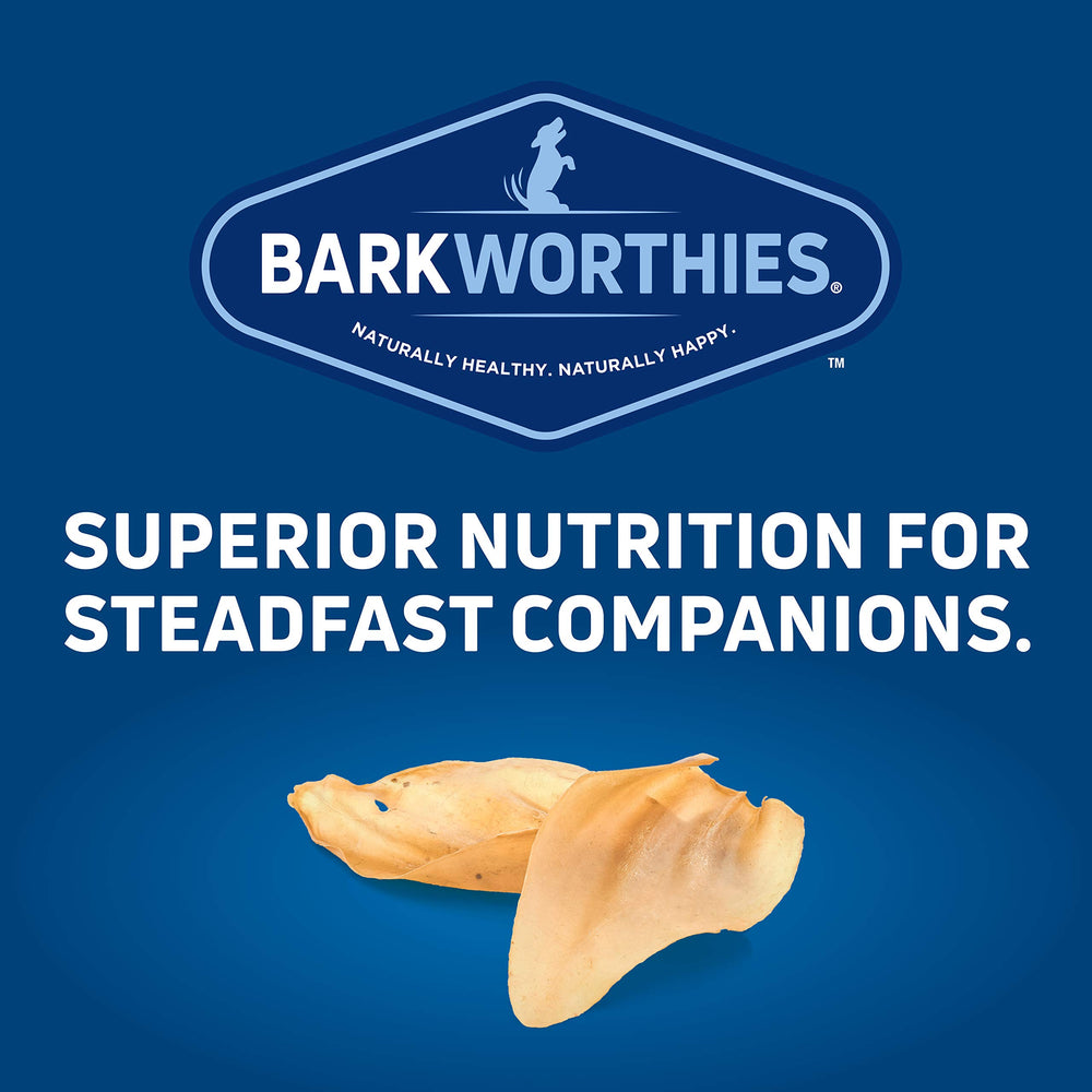 Barkworthies dog enjoying chew image implies potential dental health support through chewing.