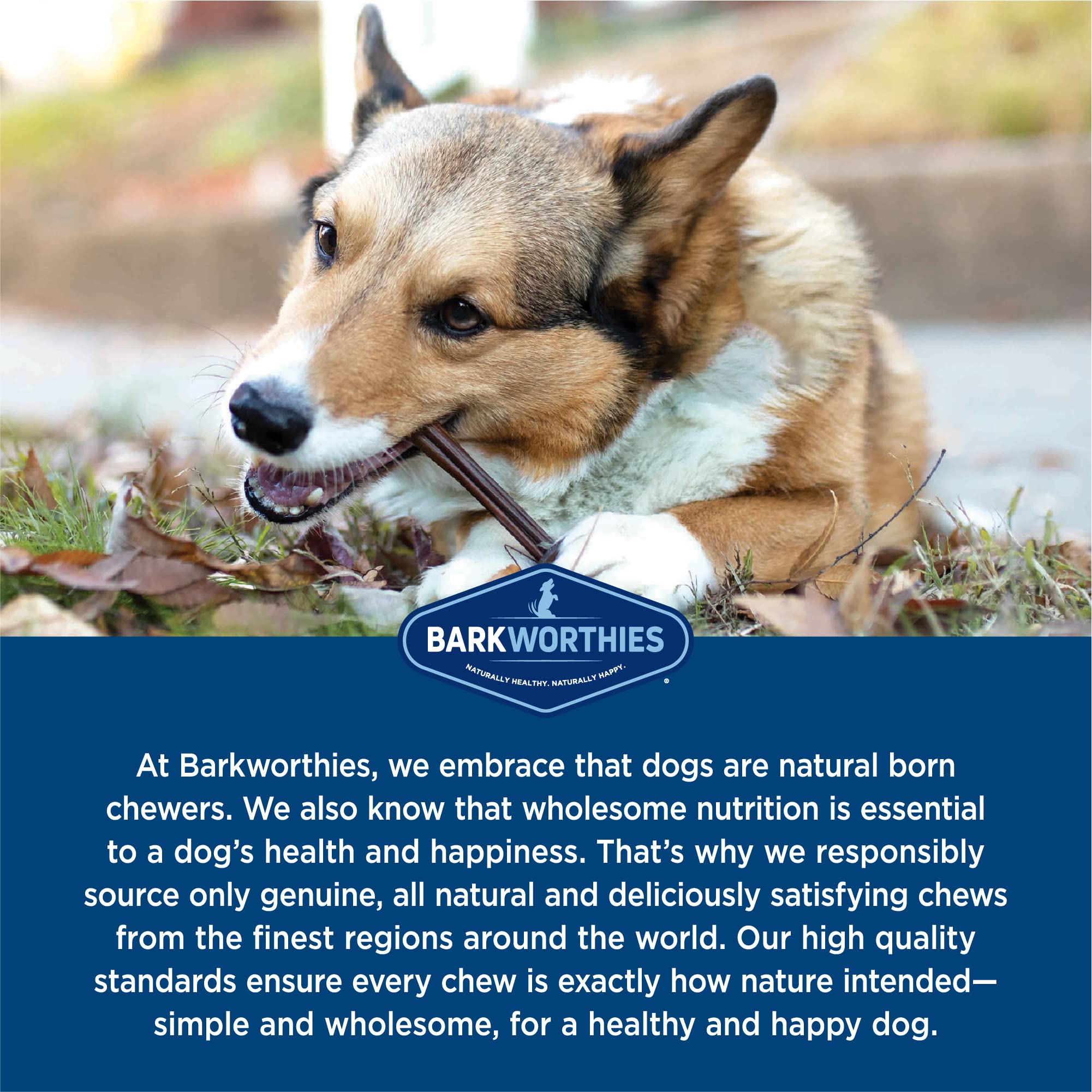 Barkworthies odor-free feature for cleaner homes after chewing