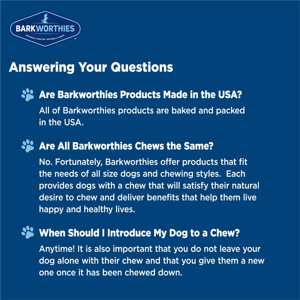Barkworthies odor-free bully stick 6-inch promotes dental-friendly chewing without artificial preservatives.