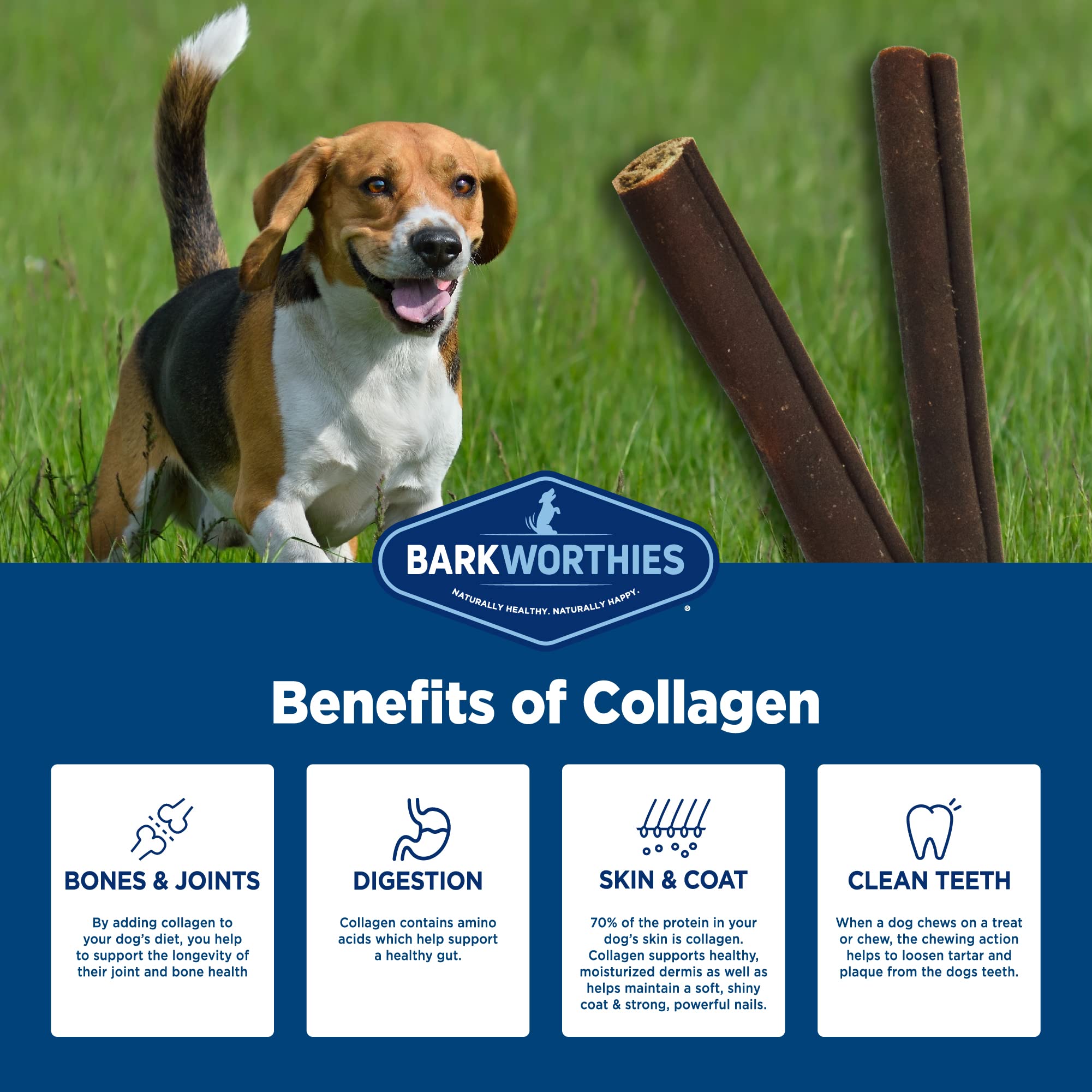 Barkworthies Plain Collagen Sticks dog chewing close-up indicates dental cleaning potential