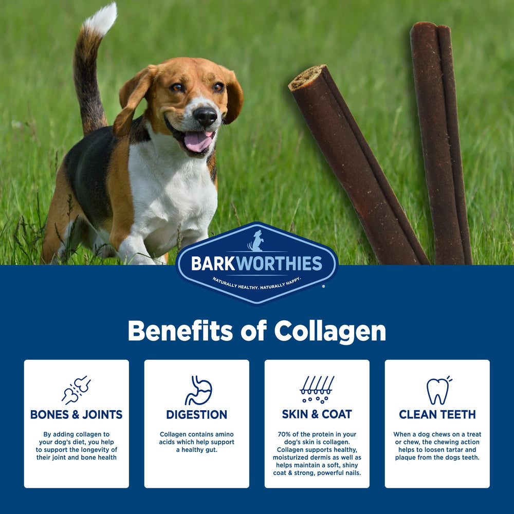 Barkworthies Plain Collagen Sticks dog chewing close-up indicates dental cleaning potential