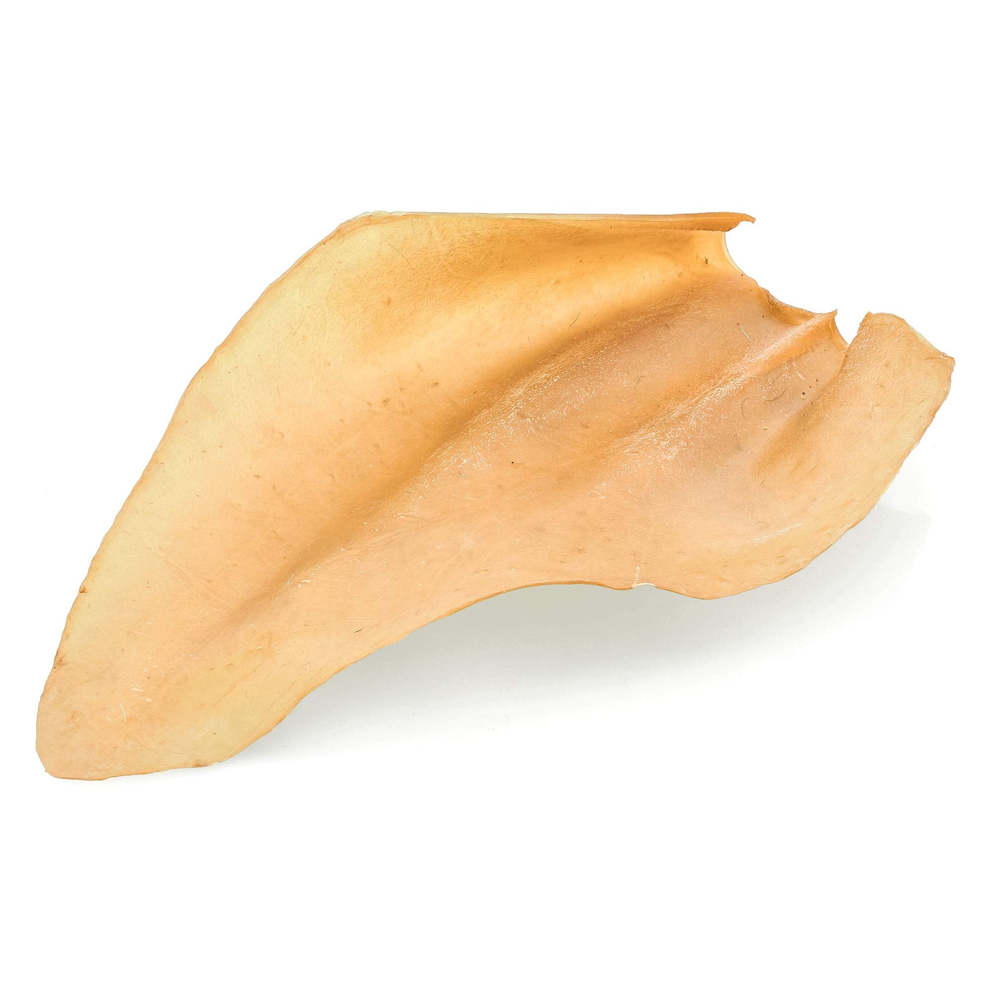 Barkworthies Whole Cow Ears close view emphasizes free-range beef origin for trusted sourcing.