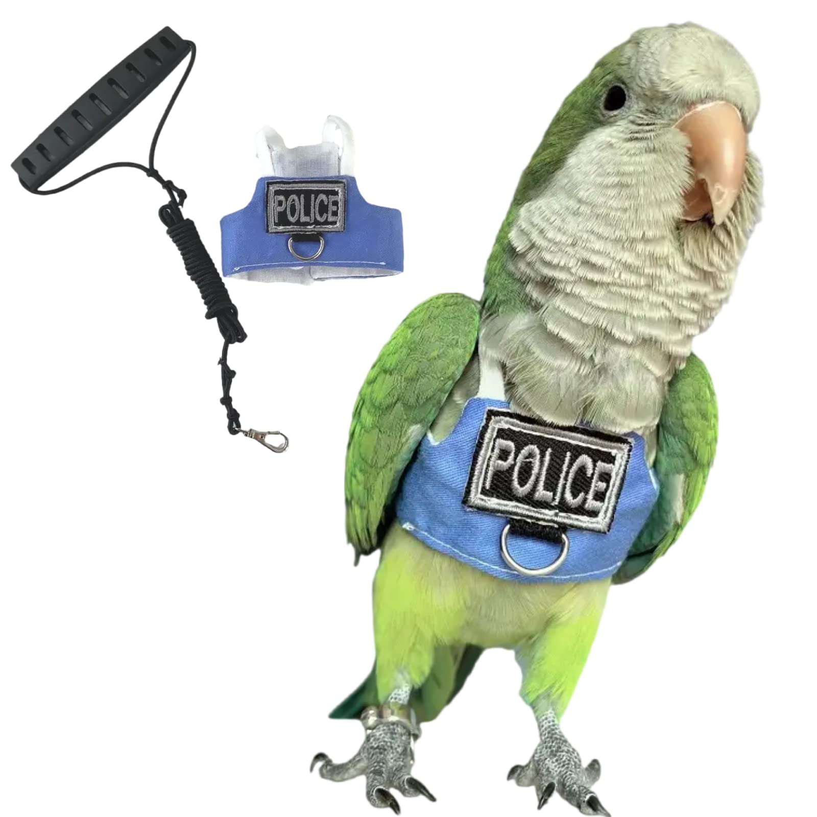 Barn Eleven bird flight harness vest shown on parrot for secure outdoor flights.