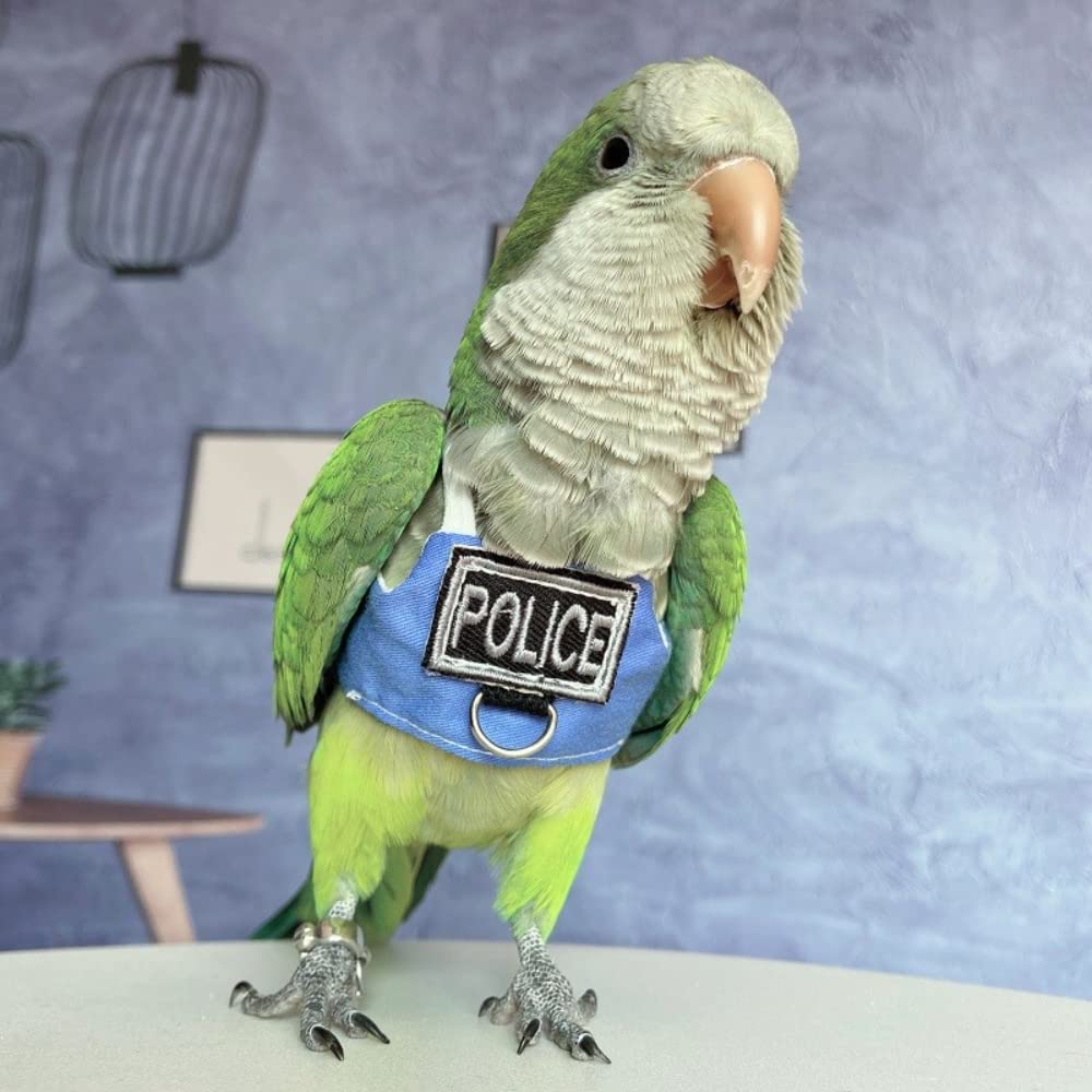 Barn Eleven gift for bird lovers supports outdoor bonding.