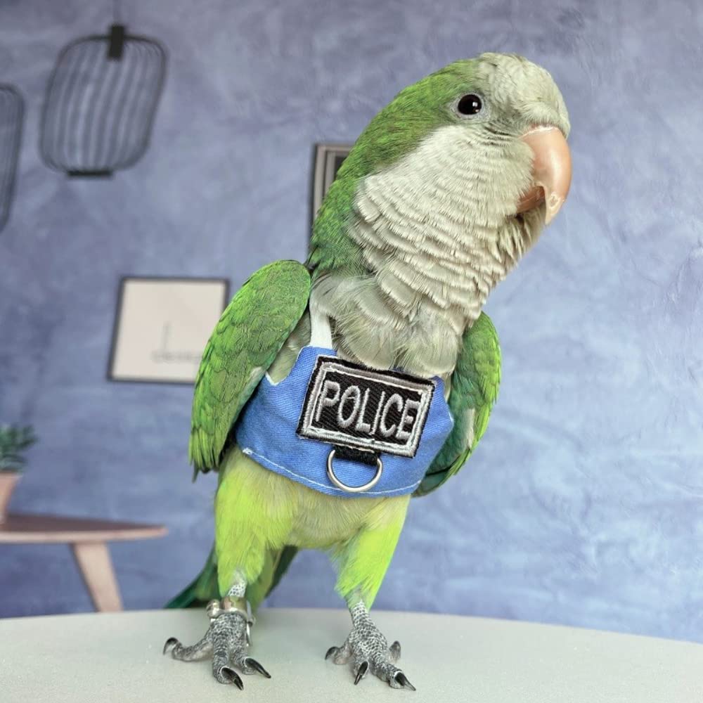 Barn Eleven green quaker harness complements plumage safely.