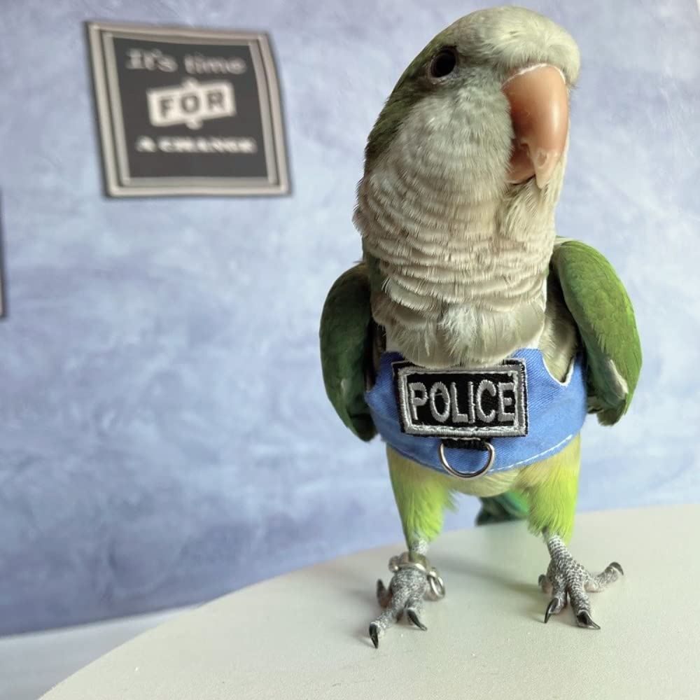 Barn Eleven suitable species list clarifies compatible parrots.