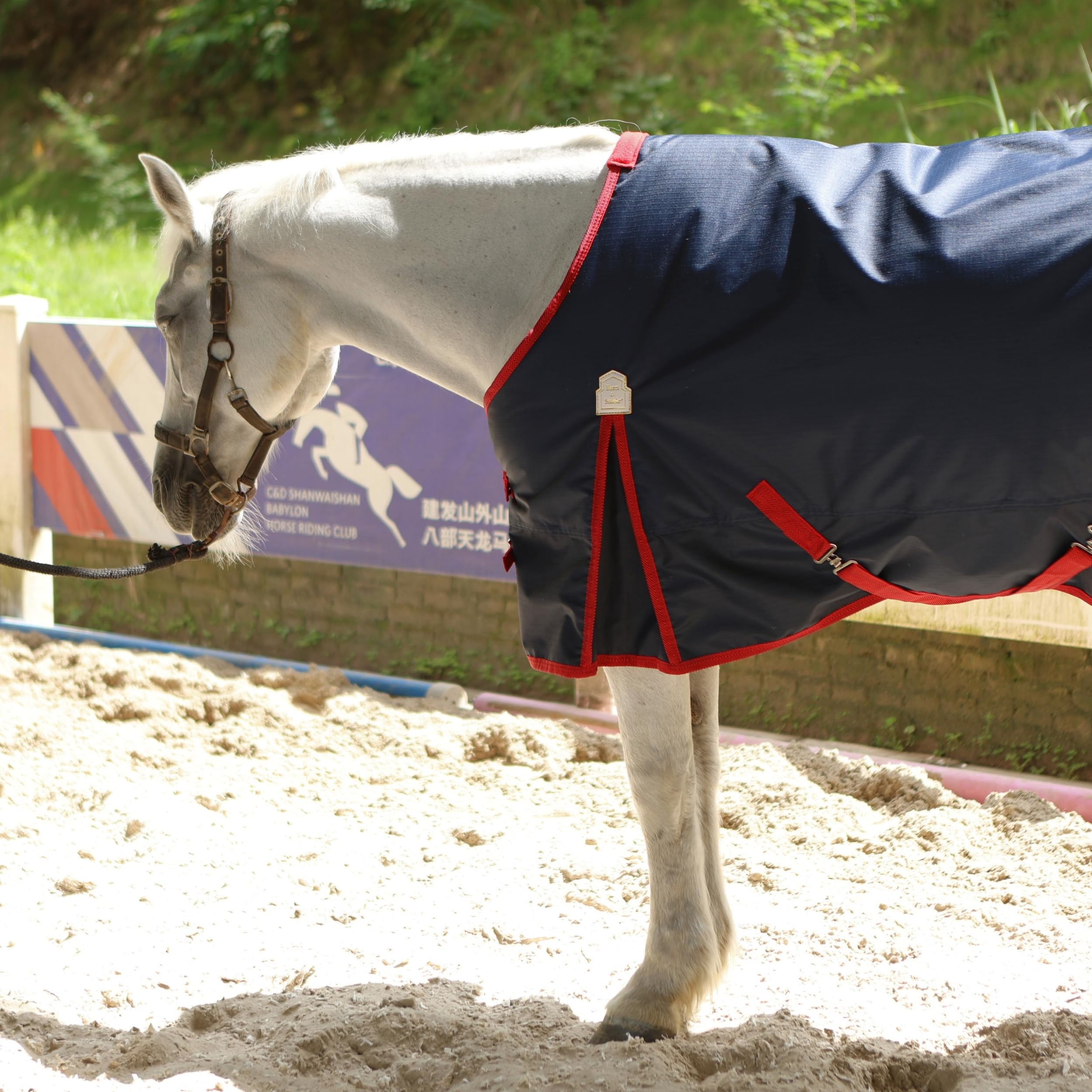 BARN & STABLE wither protection closeup reduces rubs and slipping on shoulders.