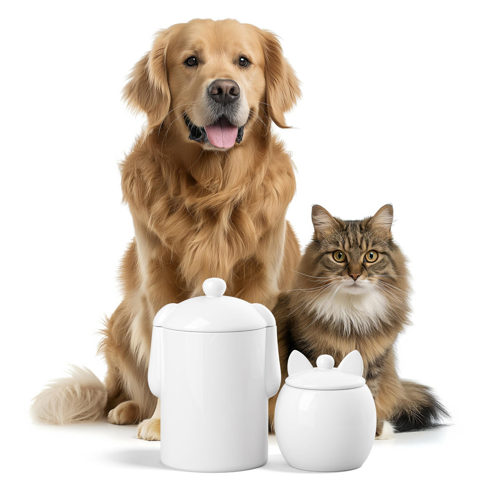 Barnyard Designs dog biscuit canister shown ready for daily treats.