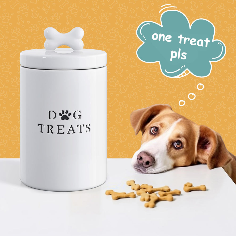 Barnyard Designs white ceramic canister showing durability and easy cleaning