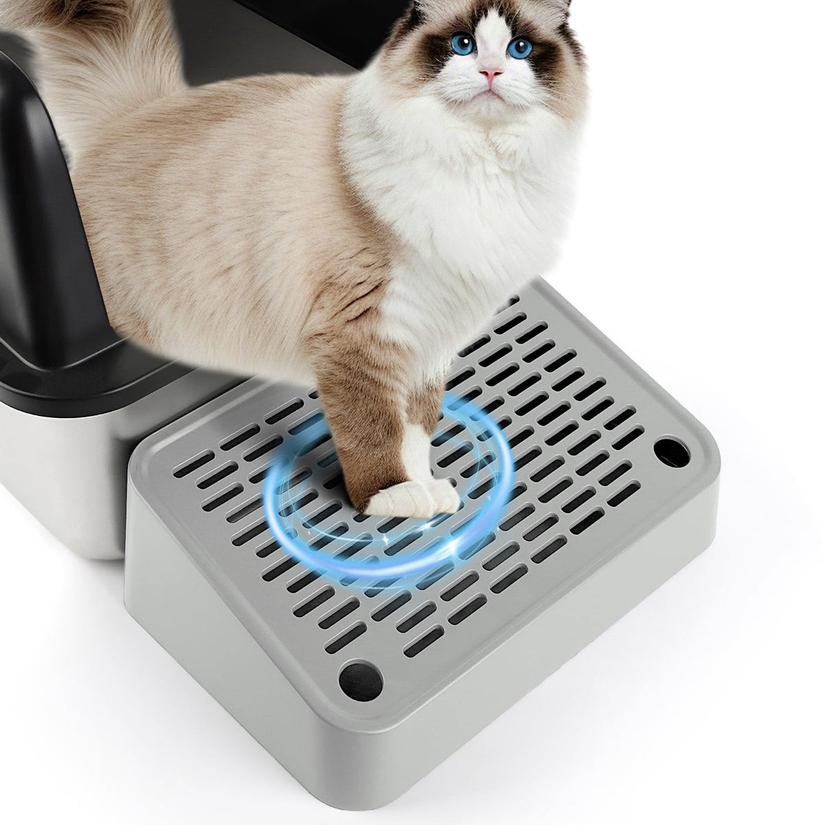 Bartuke cat litter ramp full setup shows easy access and reduced mess.