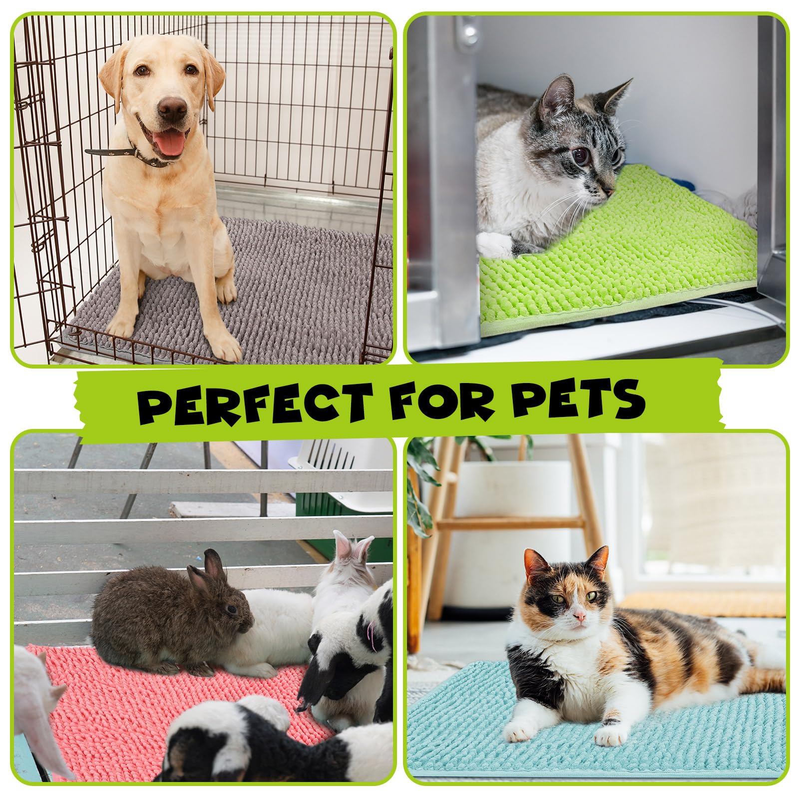 Barydat versatile-use images show crates, carriers, and bedding setups, protecting surfaces.