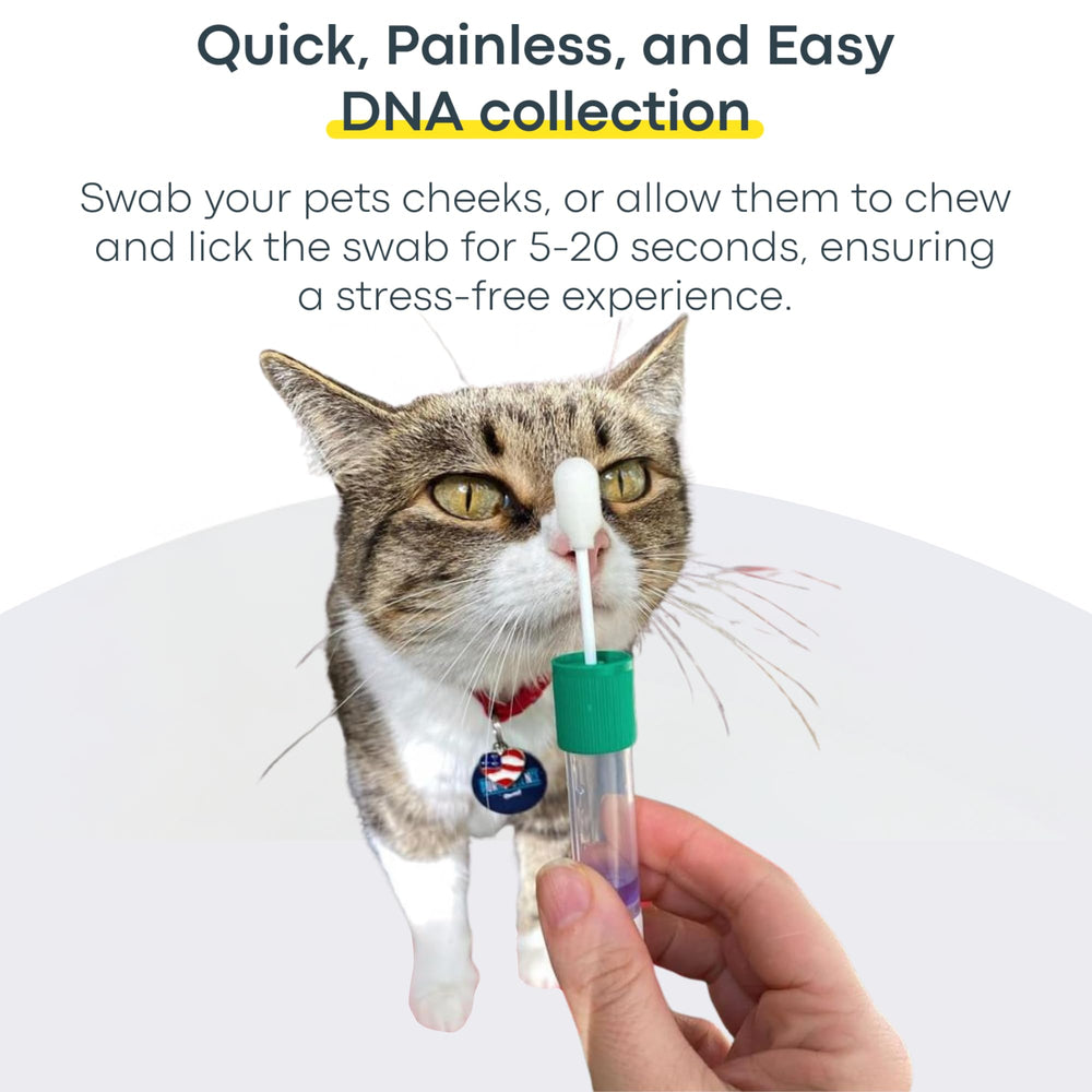 Basepaws cat community supports ongoing research and shared insights.