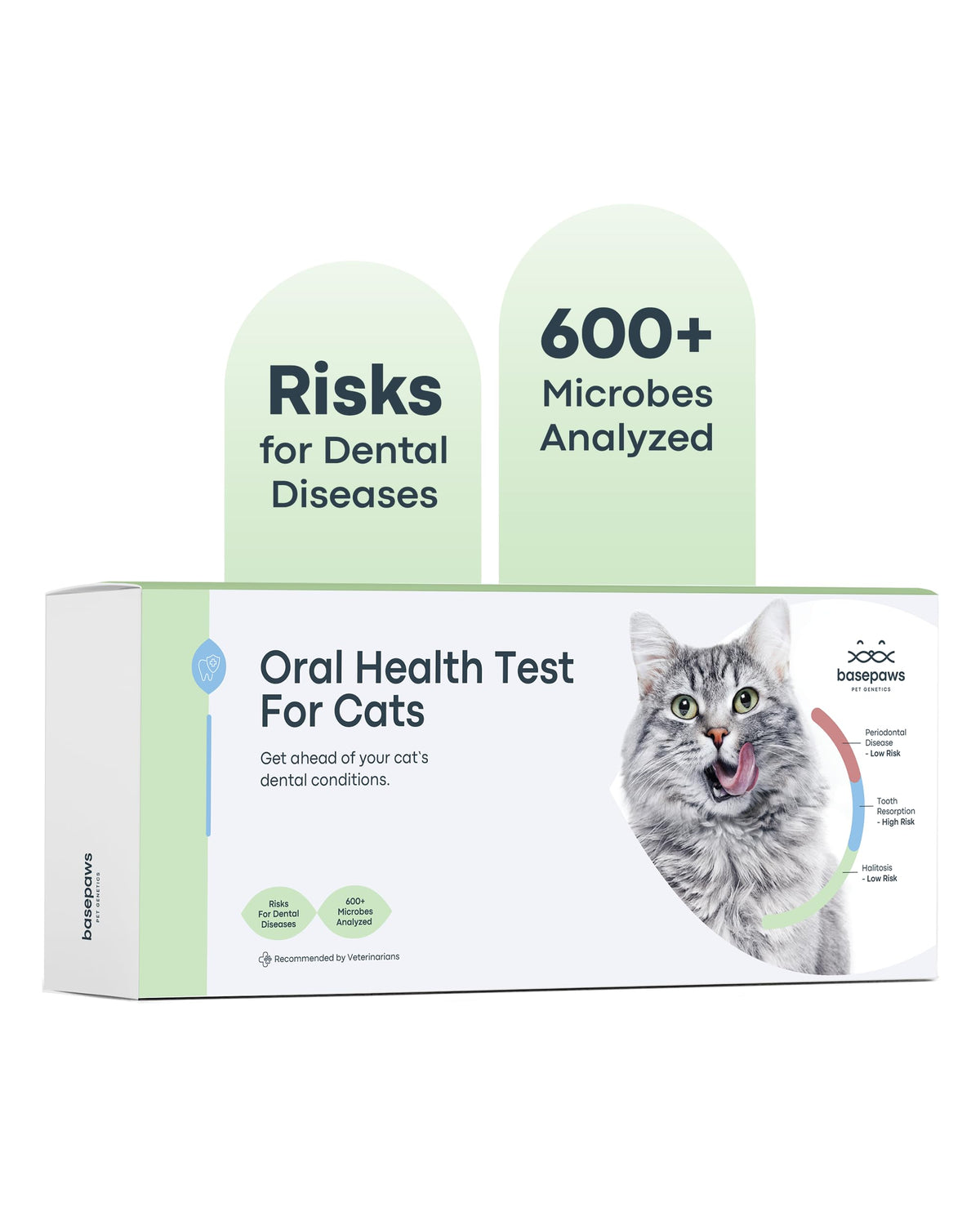 Basepaws cat dental health test kit cover showing brand label for at-home screening.