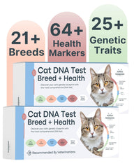 Basepaws cat DNA test kit 2-pack reveals breed mix for tailored care.