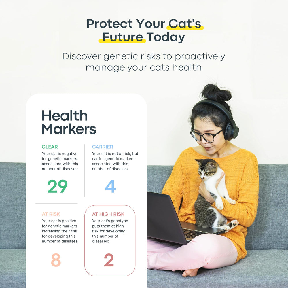 Basepaws dental health report with at-home recommendations.