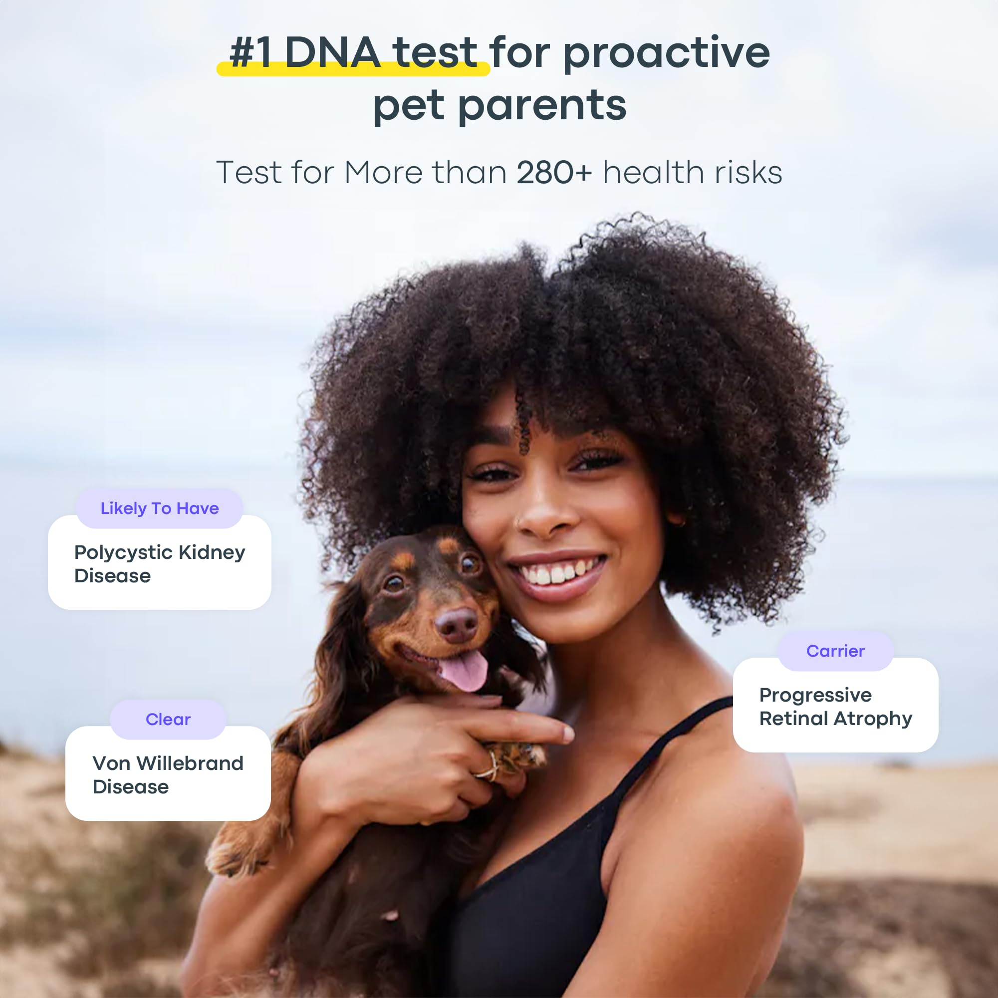 Basepaws dog DNA kit health scan results shown for proactive care planning.