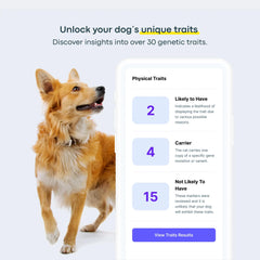 Basepaws dog DNA kit heritage map demo for mixed-breed heritage awareness.