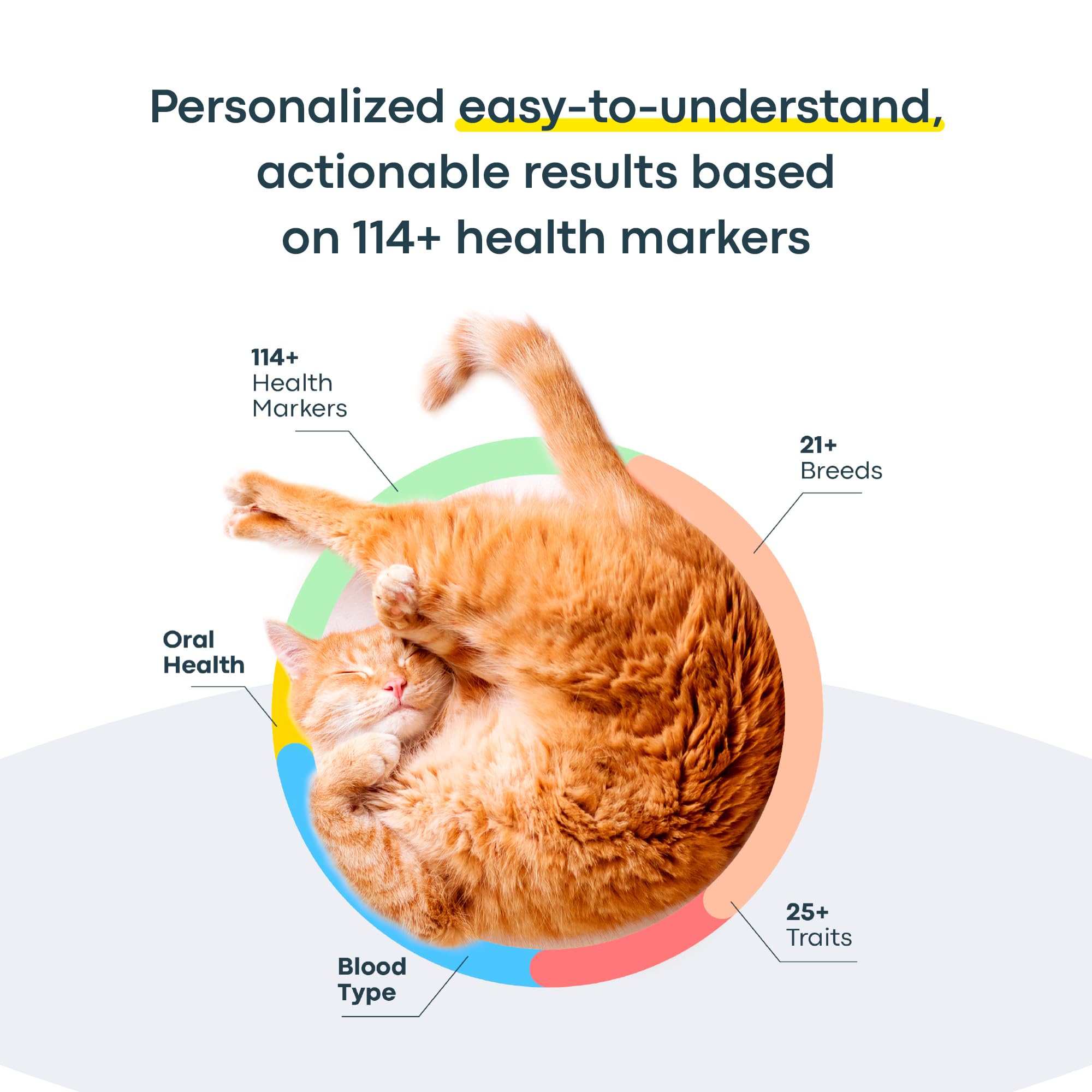 Basepaws health screening covers 64 markers across 43 diseases for proactive care.