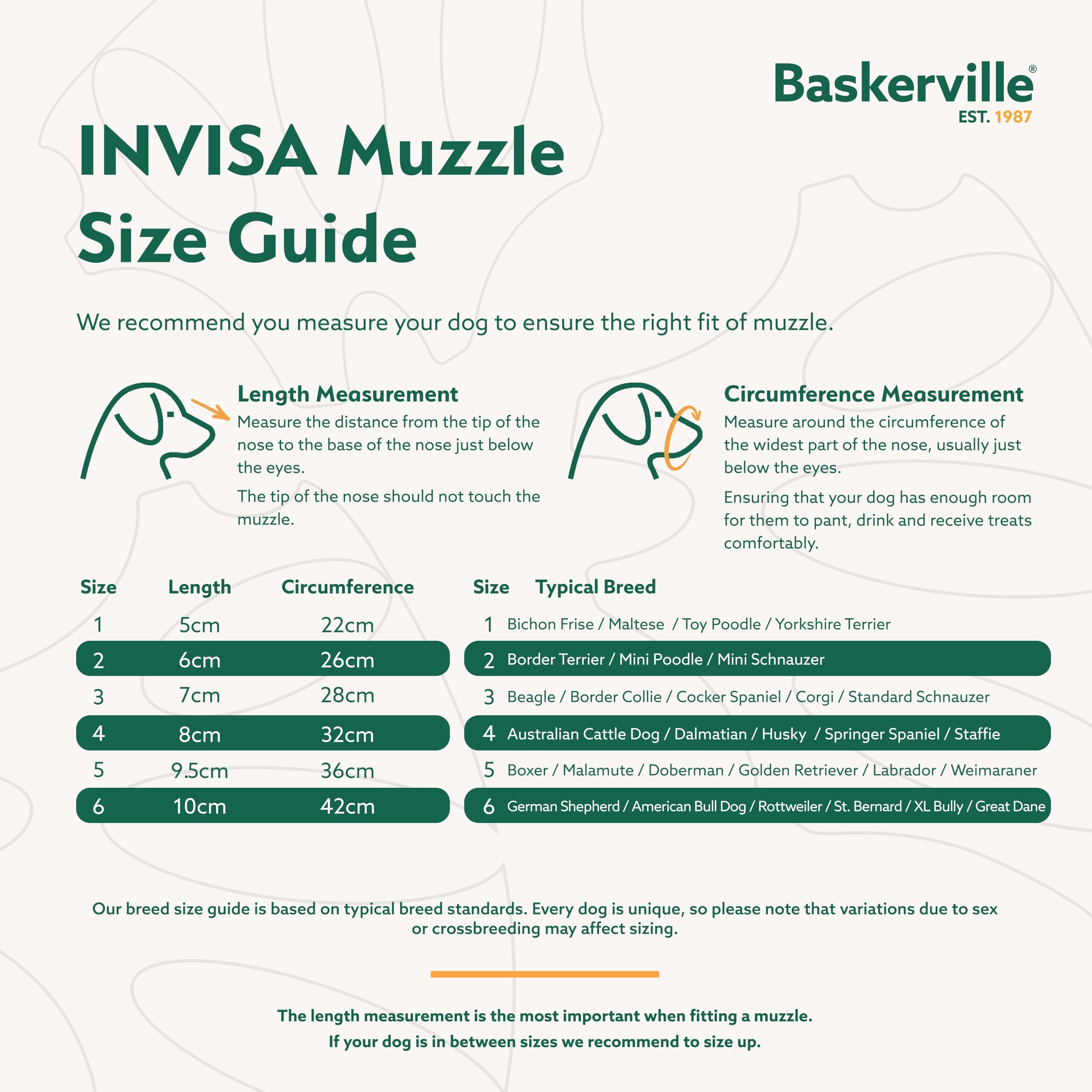 Baskerville INVISA 360-strap secures snug fit without headstrap for confident walks.
