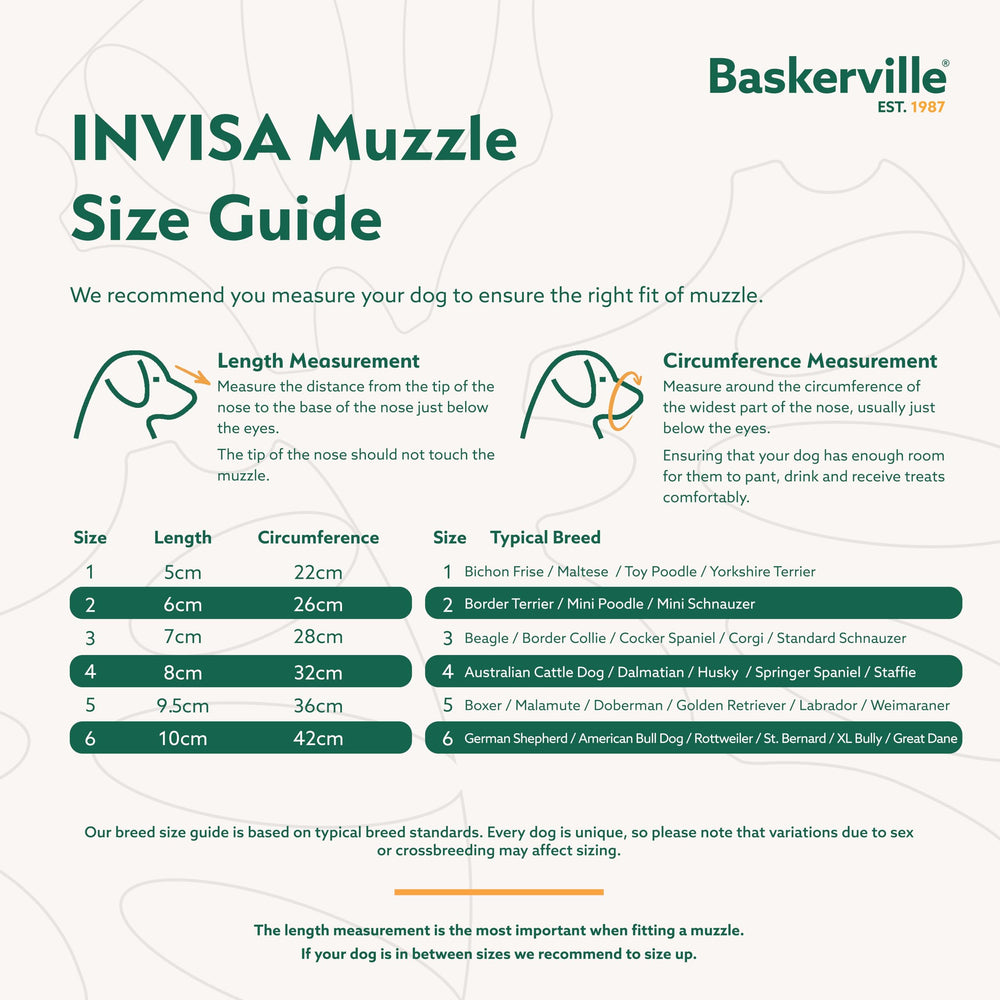 Baskerville INVISA 360-strap secures snug fit without headstrap for confident walks.
