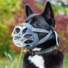 Baskerville INVISA padded nose band comfort aids long wear during walks.