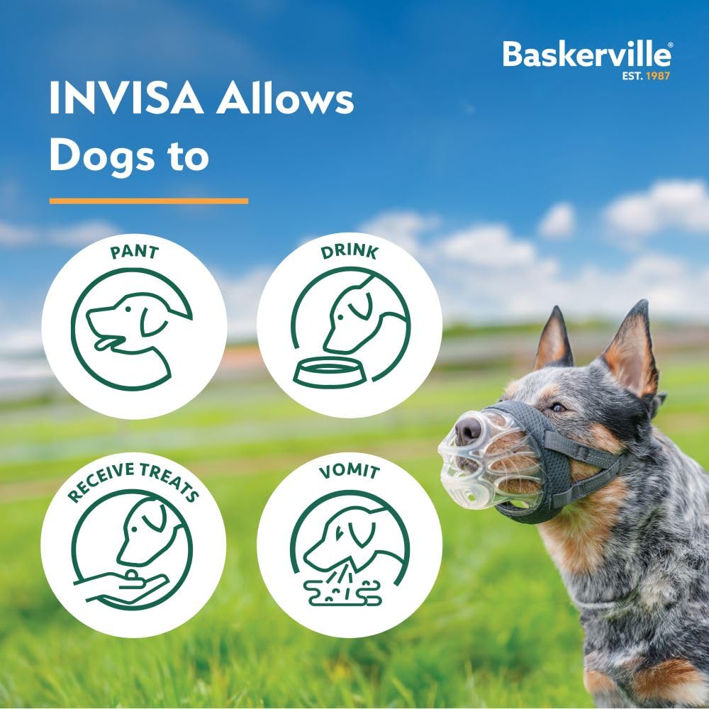 Baskerville INVISA walking with dog shows confident control and reduced stigma.