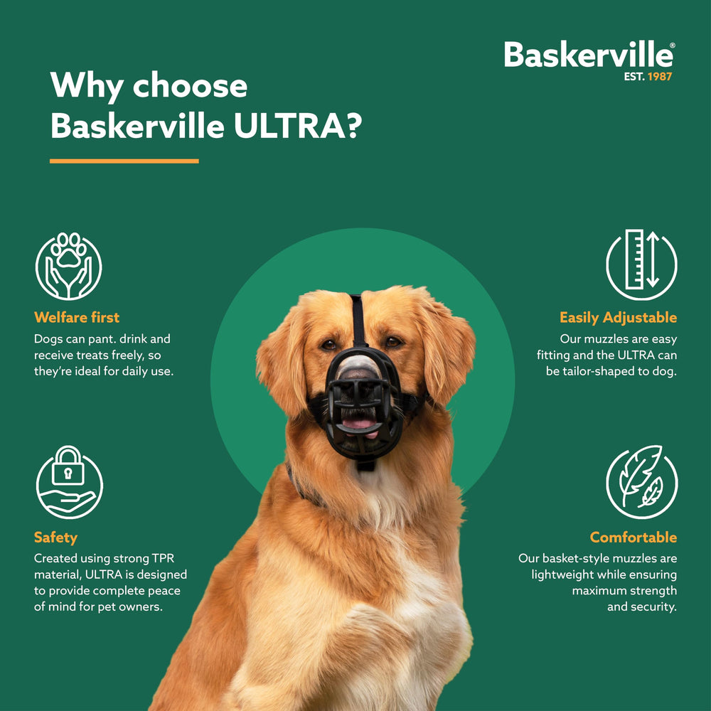 Baskerville Ultra Muzzle collar-attachment option for leash compatibility