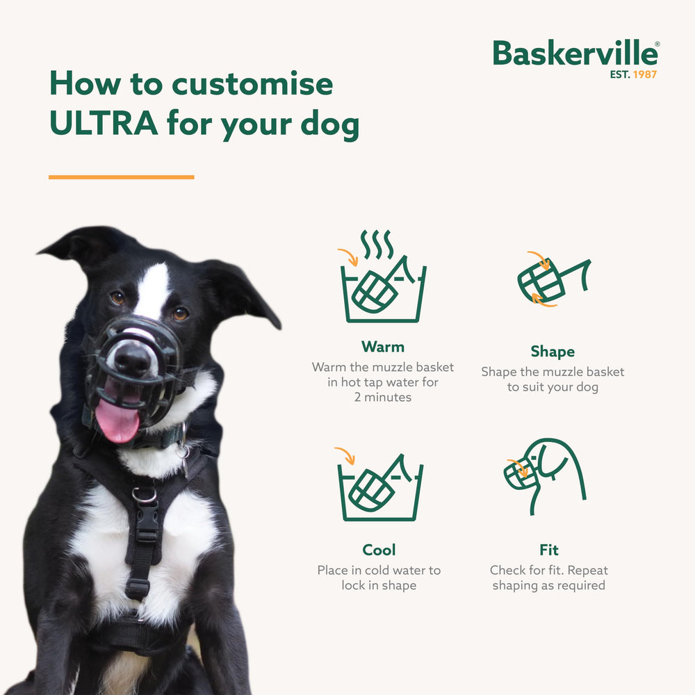 Baskerville Ultra Muzzle training reactive dogs for safer socialization