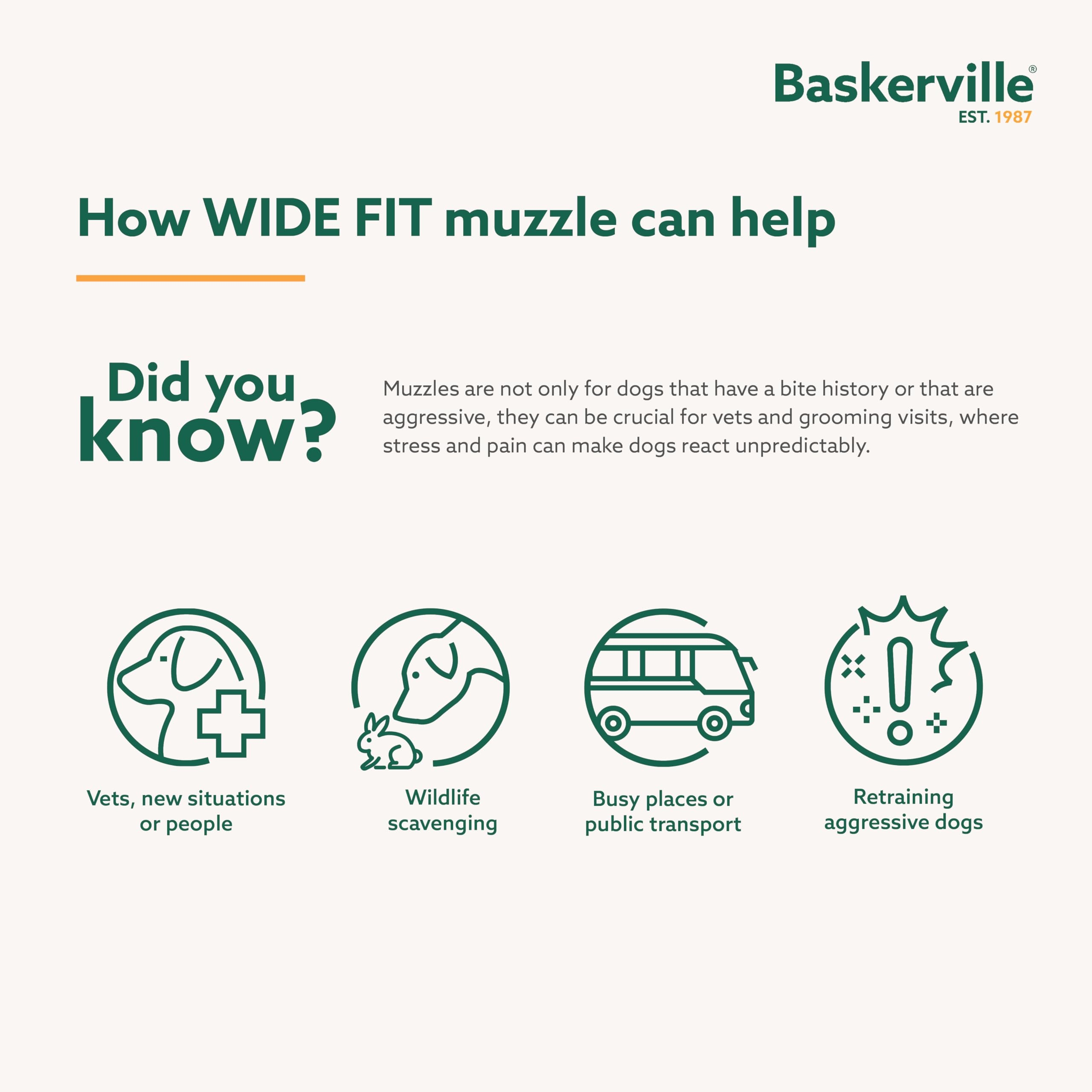 Baskerville Wide Fit Muzzle panting and drinking view enables outdoor breaks