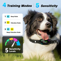 Bassflows bark collar in automatic protection mode for calm evenings
